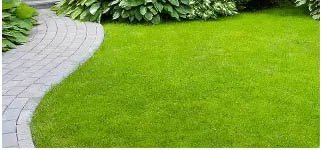 Jogging track L&T Thanisandra